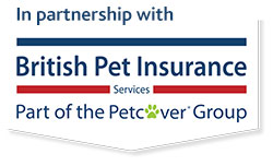 In association with British Pet Insurance