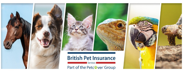British pet insurance thumbnail