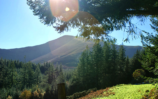 Views at Whinlatter Forest
